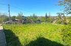 CASĂ BĂTRÂNEASCĂ CU TEREN APROX. 5.000 MP - 7