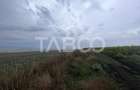 Teren de vanzare 30000 mp 60 ml deschidere Sura Mare Sibiu - 4