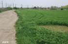 Teren industrial Arad zona CET