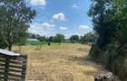 Teren intravilan cu casa Com. Varasti Jud. Giurgiu - 11