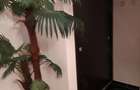 inchiriez apartament 2 camere etaj 1 piata mare
