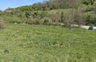 Teren intravilan 1400 m2 - Curteni, Santana de Mure?
