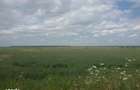 Teren extravilan 18.940 mp in Focsani, Soseaua Suraii, Onasis - 5