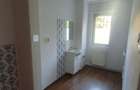 Spatiu comercial Bulevardul Vlahuta - 2