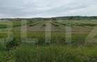 Teren intravilan, 12.400 mp, zona Acatari