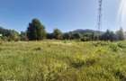 Teren Intravilan, 1000 mp, Vaduri - 2