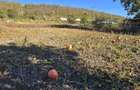 Casa in frumuselul la 6.5km de podu turcului