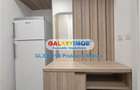 Inchiriere garsoniera Premium situata in apropriere de Favorit - 11