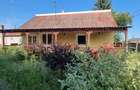 Casa cu teren 37 arii Apateu 43000 Euro - 10
