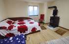 2 CASE | 465 MP TEREN | LANGA LAC | - 10