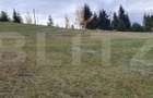 Teren intravilan, 4000 mp, zona Panaci - Vatra Dornei