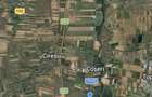 Vand 1Ha teren extravilan agricol - 1