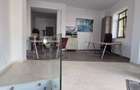 Proprietar,sp.comercial,cabinet,salon,agentie,Tineretului-Parcul Carol - 9