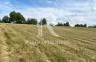 Teren Intravilan | 17.500 mp | S?inteu | Bihor