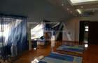 Vila Exclusivista | Piscina si 1877 m.p teren | Erou Iancu Nicolae