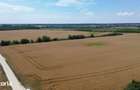 Ciolpani-Ilfov, Teren intravilan-20 ha - 7