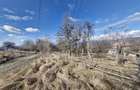Teren intravilan 10.000 mp | Deschidere 40 m | Zona de pad - 1