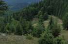 Teren 768 mp Piatra Craiului, Sirnea/Ciocanu vedere superba, langa padure - 5