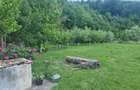 Vand casa cu gradina - 6