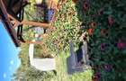 Vand casa 130 M2 ?i teren 736 M2 in Brad com Bere?ti Bistri?a jud Bacau