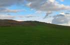 Teren agricol extravilan de 6000 mp, în Nufăru - 2
