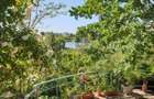 Snagov  Ultimul Refugiu la Lac: Proprietate Rara cu Priveliște de Poveste