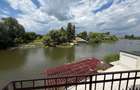 Vila premium cu acces la Lacul Snagov, langa padure, piscina si ponton - 4