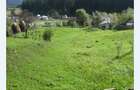 Vand teren intravilan 2121 mp, in Jud. Arges-Nucsoara - 1