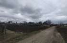 De vanzare casa + teren - Dumbravita, Botosani - 4