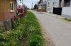 Vand casa in Dangaul Mare - 6