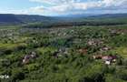Casa de vanzare in natura la tara - Mihaesti - 14