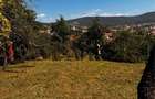 Teren 1.264 mp ultracentral | 2 fronturi stradale | Ideal dezvoltator | Zalau - 4