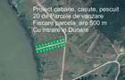 Teren la Dunare in Moldova Noua - 4