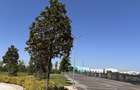 2 Camere | Finisaje Premium | Parc Privat 6.000 mp - 7