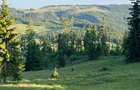 50 hectare teren | Moldova-Sulita | Potential turistic si agricol