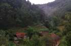 Casa de vinzare in Vata de Sus - 2