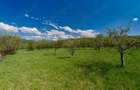 Casa Valea Mare Pravat (Campulung-Arges ) - farmec interbelic - 9915 mp teren - 4