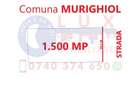 ID 7806 Teren intravilan in Comuna Murighiol - 11