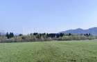 Teren intravilan, 7838 mp, cu priveli?te superba spre m... - 4