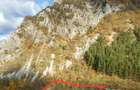 Terenuri intravilane de vanzare Lepsa, Vrancea - 5