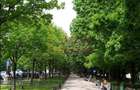 Apartament 2 camere decomandat pe bd Unirii stradal - 2