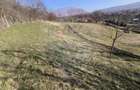 Teren Intravilan Urechesti - 10