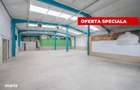 Hala industriala / spatiu comercial VANZARE DN 65B Bradu-P - 10