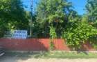 Casă cu 3 camere cu Teren 2610 Mp în Lespezi - 5
