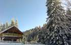 Casă cu 3 camere în Piatra - 8