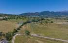 Teren Bran -Sohodol, Strada La mesteceni, 6900mp - 11
