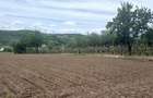 RECO Teren intravilan Hidiselul de Jos langa padure - 4