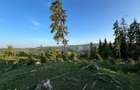 50 hectare teren | Moldova-Sulita | Potential turistic si agricol