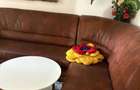 Apartament 4 camere zona Big - 4