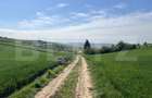 Teren generos 15.900 mp (intravilan + extravilan) in Sancraiu de Mures - 2